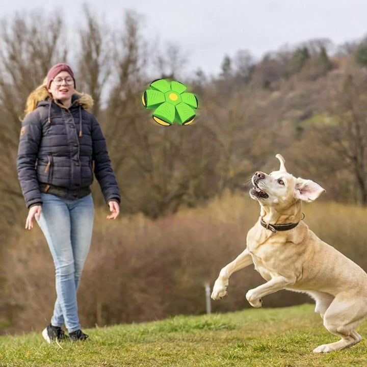 Pelota Magica Para Perros