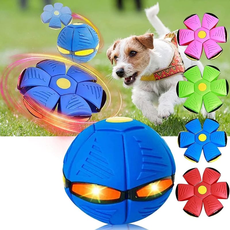 Pelota Magica Para Perros